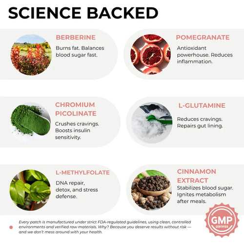 GLP-1 Cravings Support Patches